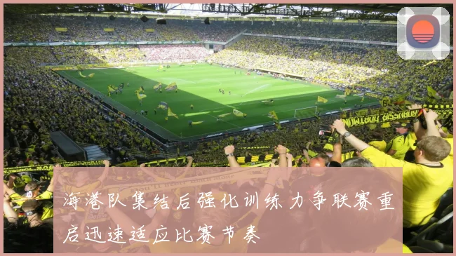 海港队集结后强化训练力争联赛重启迅速适应比赛节奏
