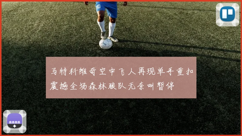 马特科维奇空中飞人再现单手重扣震撼全场森林狼队无奈叫暂停