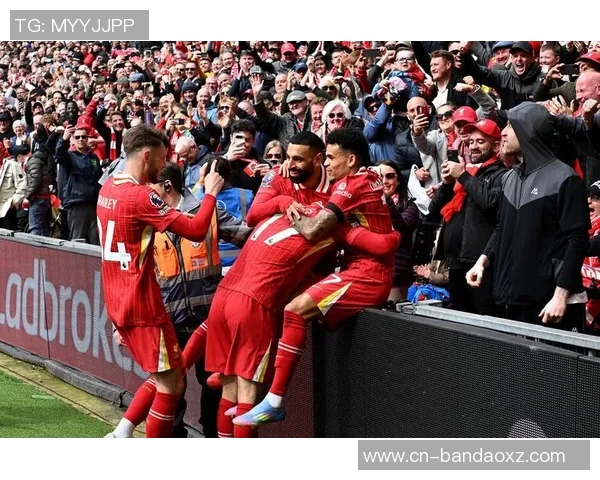 利物浦夺冠游行司机因路怒症撞人认罪引发关注 利物浦夺冠游行司机因路怒症撞人认罪引发关注