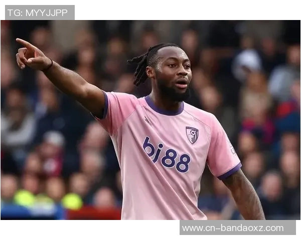 伯恩茅斯近年盈利分析：塞梅尼奥贡献6175万索兰克赫伊森均超4000万